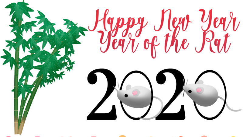 The Year of the Rat 2020